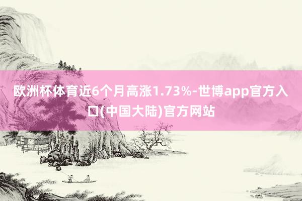 欧洲杯体育近6个月高涨1.73%-世博app官方入口(中国大陆)官方网站