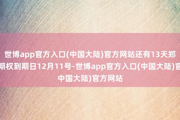 世博app官方入口(中国大陆)官方网站还有13天郑商所的期权到期日12月11号-世博app官方入口(中国大陆)官方网站