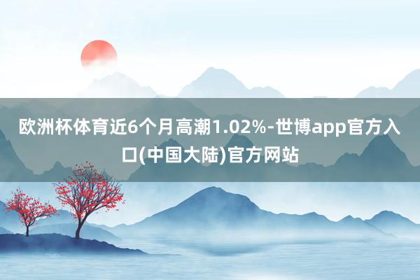 欧洲杯体育近6个月高潮1.02%-世博app官方入口(中国大陆)官方网站